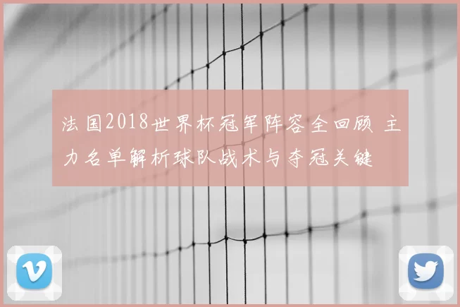 法国2018世界杯冠军阵容全回顾 主力名单解析球队战术与夺冠关键