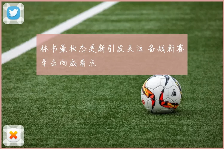 林书豪状态更新引发关注 备战新赛季去向成看点