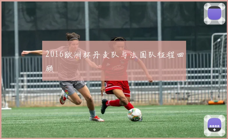 2016欧洲杯丹麦队与法国队征程回顾