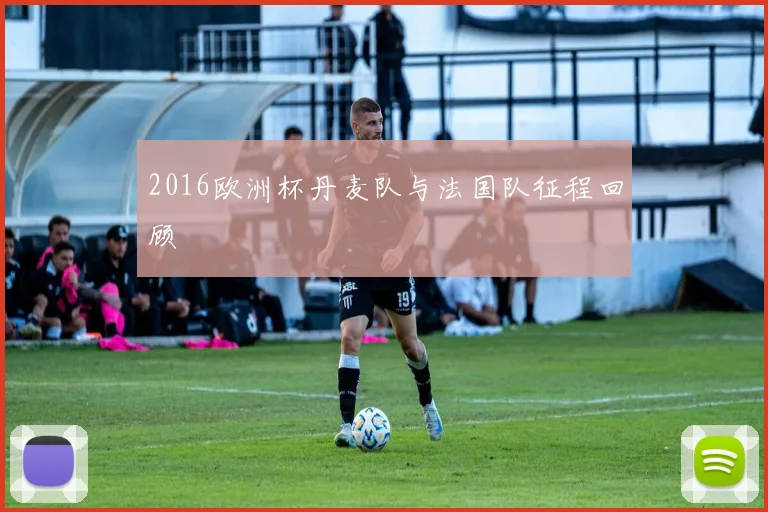 2016欧洲杯丹麦队与法国队征程回顾