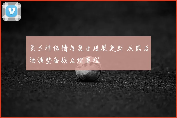 莫兰特伤情与复出进展更新 灰熊后场调整备战后续赛程